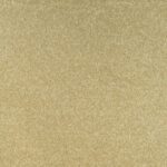 Captivate Plan Carpet